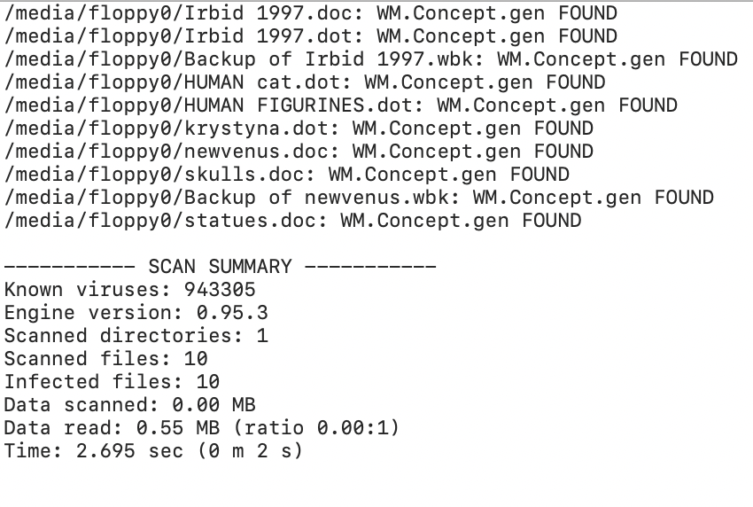 screenshot of a virus scan log showing an early Windows macro virus found on an old diskette